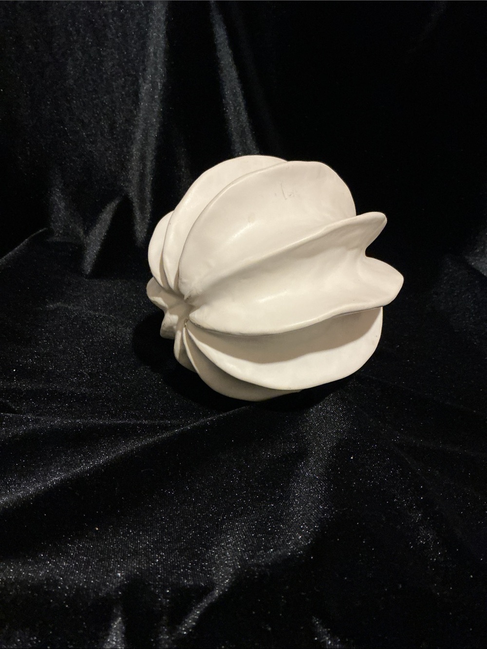 Cream Ceramic Sculptural Sea Star Vase - Picture 4 of 4